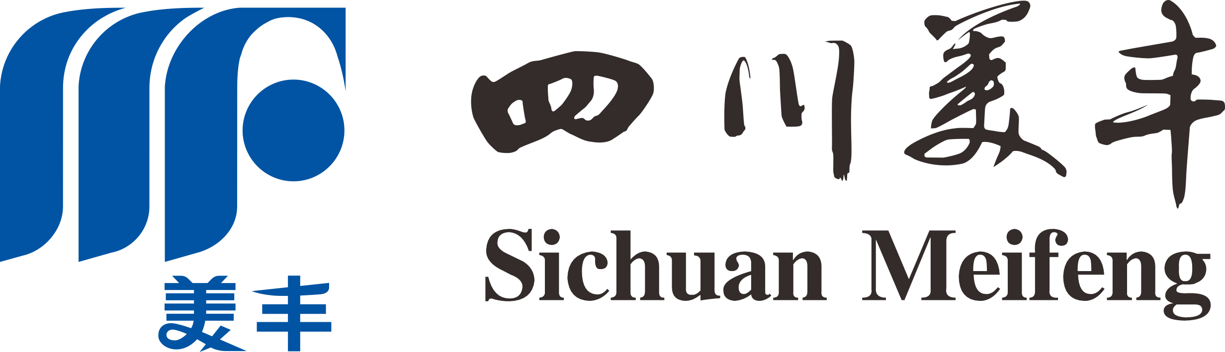 上市母公司